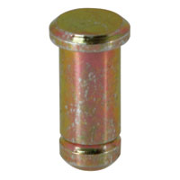 Beetle pin for door check strap