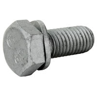 Caliper Bolt T1 (Gen VW/Hex) Not T2
