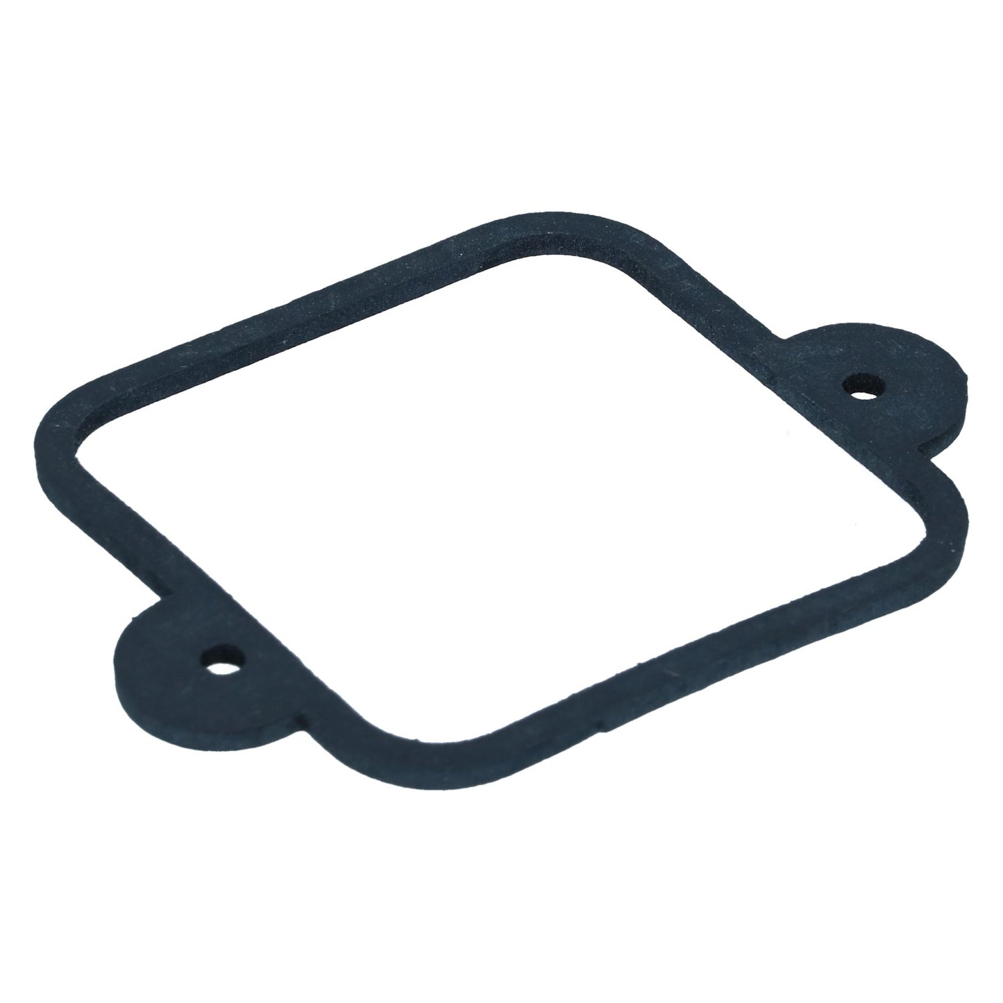 License plate light seal