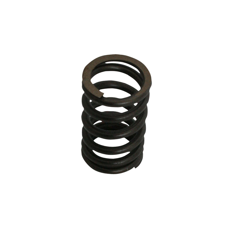 Valve spring, standard, each