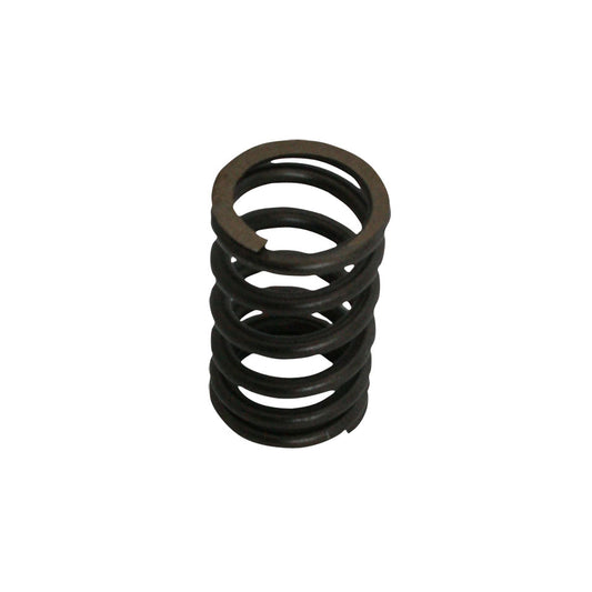 Valve spring, standard, each