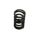 Valve spring, standard, each