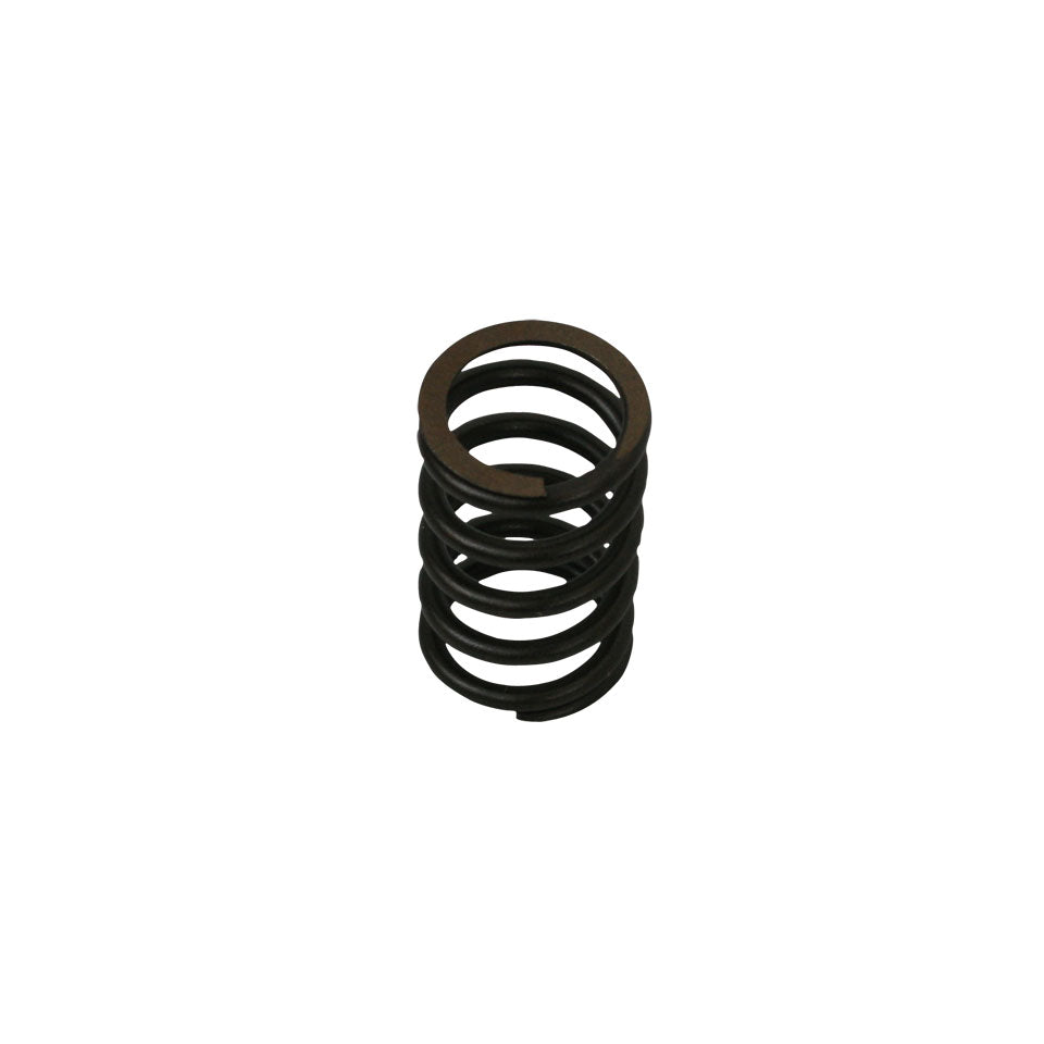 Valve spring 25/30 hp/ Okrasa style, each
