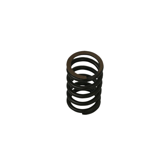 Valve spring 25/30 hp/ Okrasa style, each