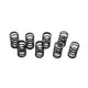 Single valve springs (30% stronger than stock style), 8 pieces