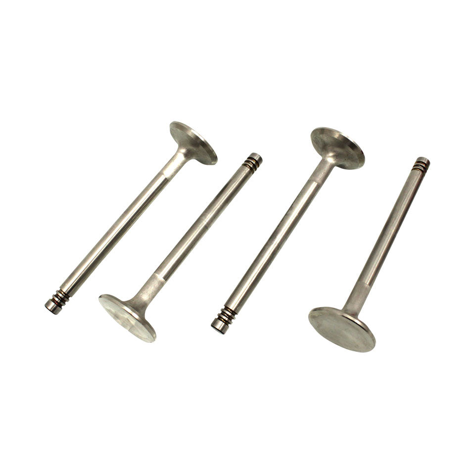 S/S valves 32mm