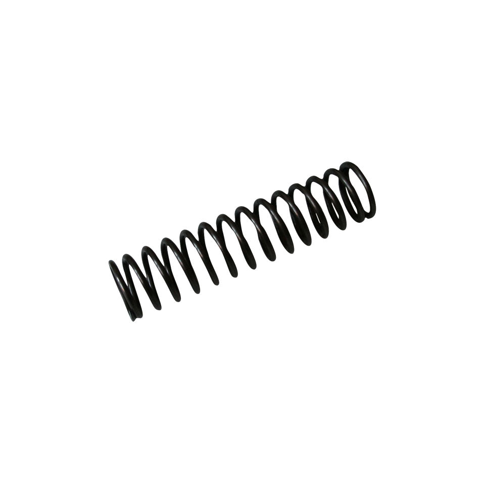 Oil pressure spring, pulley side, OEM