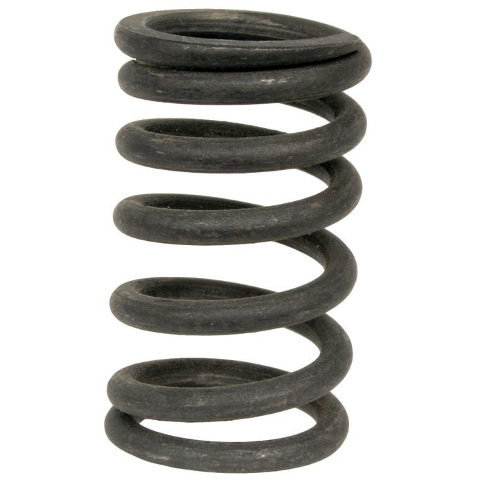Valve Spring 1600cc