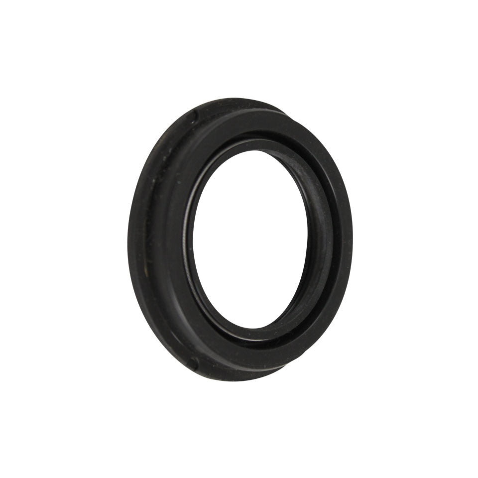 Grease seal front wheel bearing (disque de frein)