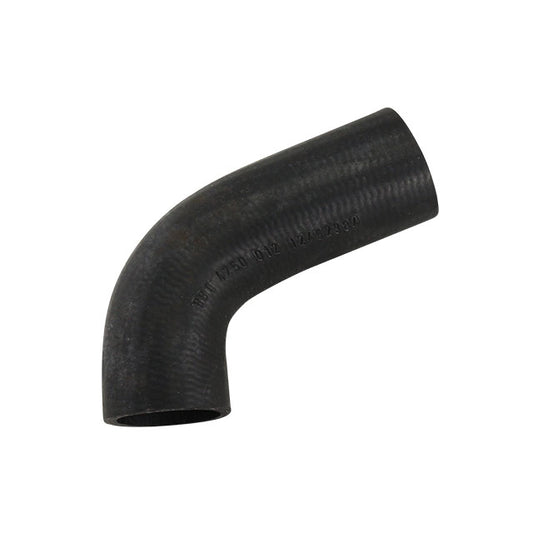 Coolant hose from waterpump to thermostat