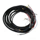 Wiring harness, (Main)