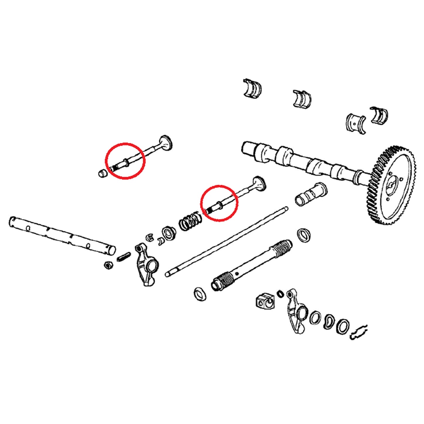 Valve stem seal (8mm)