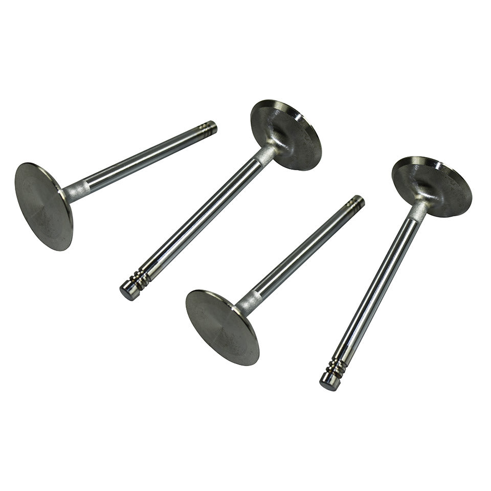 S/S valves 42mm