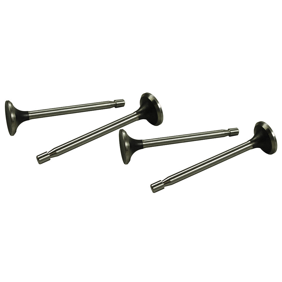 Exhaust valves 25/30HP - Intake valves 25HP