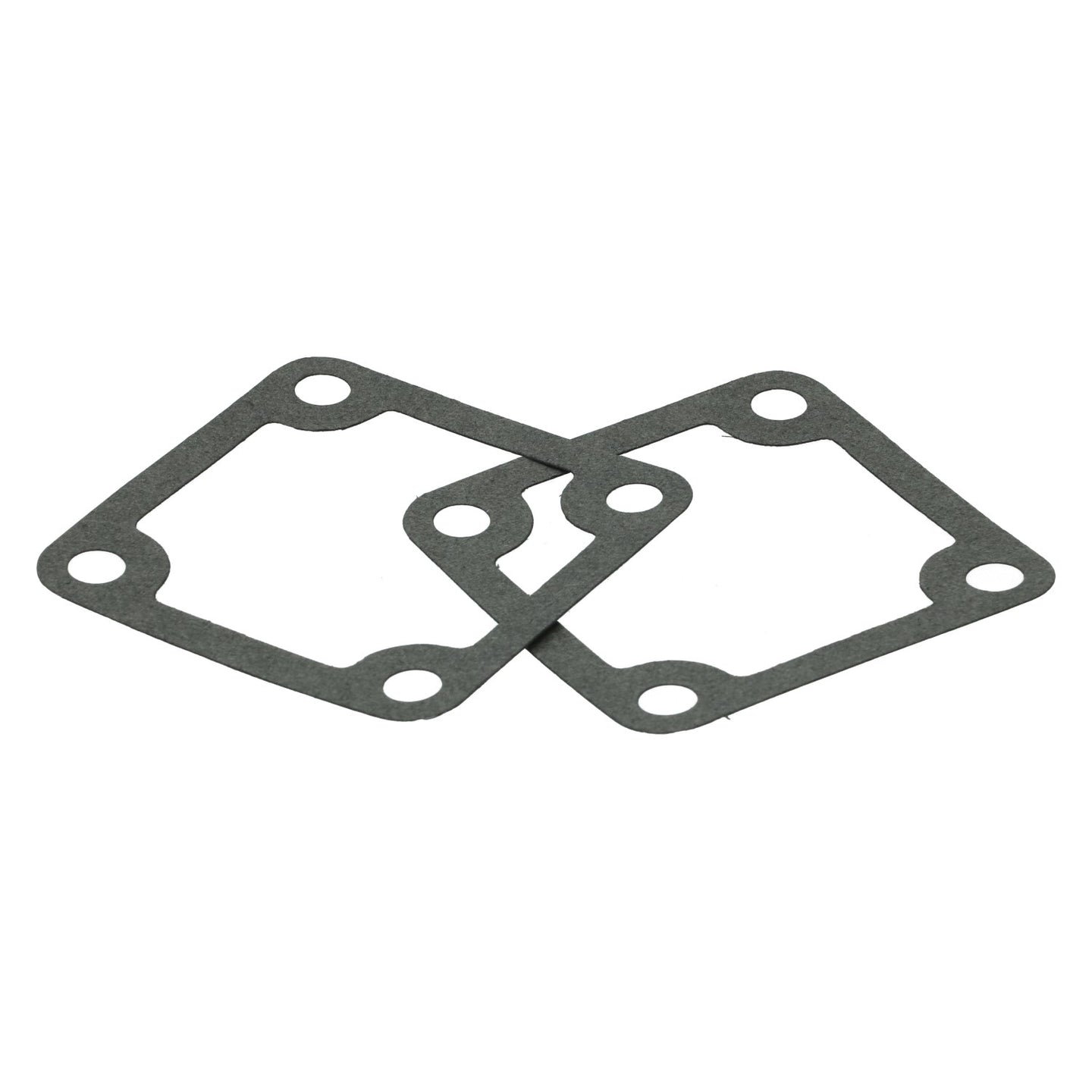 Gasket dynamo/alternator support