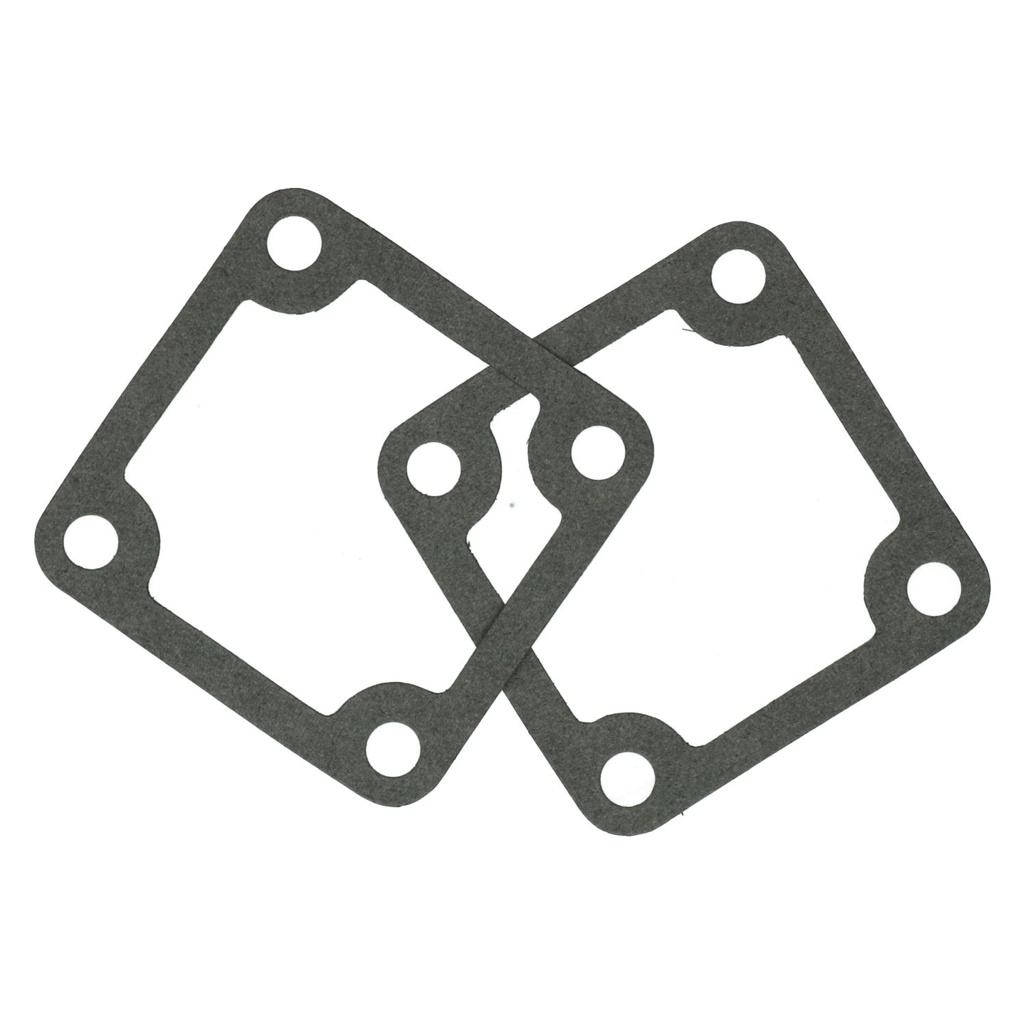 Gasket dynamo/alternator support