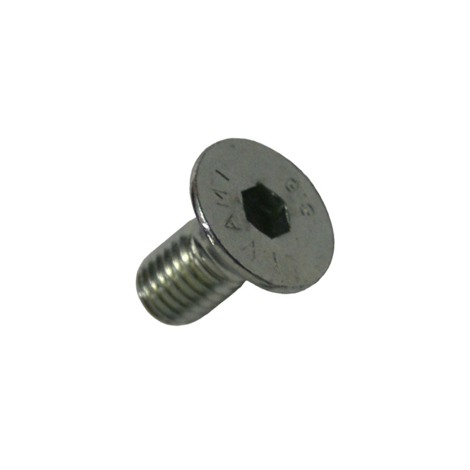 Bolt for door hinge pin