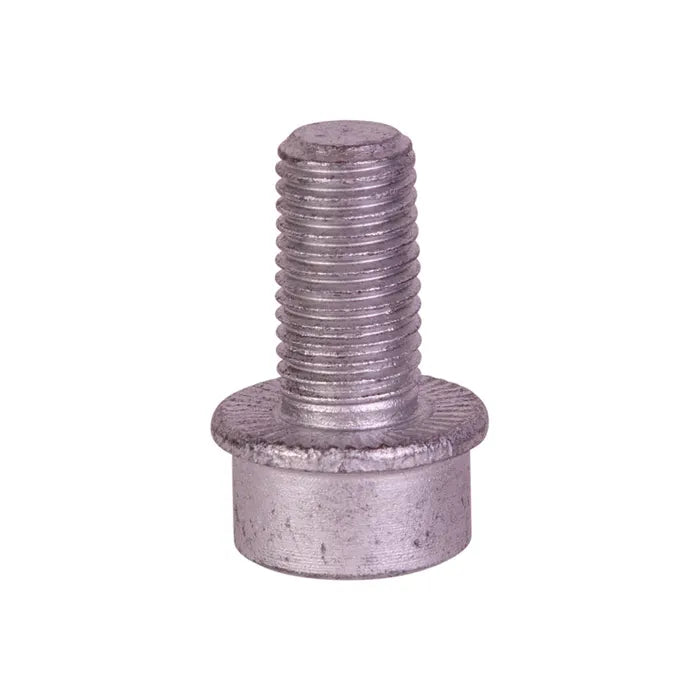 Bolt M10x1.25x20, for Rear Brake Caliper: Golf Mk2 (1984-1992), Golf Mk3 (1992-1995), Corrado (1989-1995)