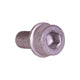 Bolt M10x1.25x20, for Rear Brake Caliper: Golf Mk2 (1984-1992), Golf Mk3 (1992-1995), Corrado (1989-1995)