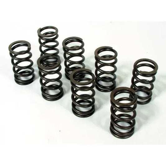 Valve spring, heavy duty, set of 8
