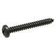 Self Tapping Screw, 4,8x38, Various Applications: T25 (1980-1991)