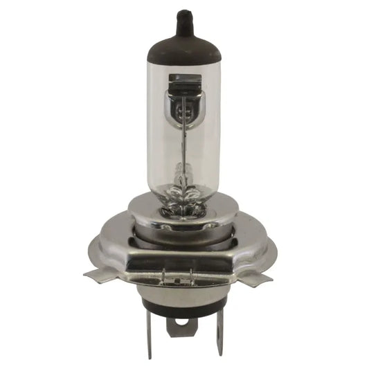Halogen H4 Bulb 6v 60/55w Clear: Beetle (1947-1966), T2 Split Bus (1950-1966), Karmann Ghia (1955-1966)