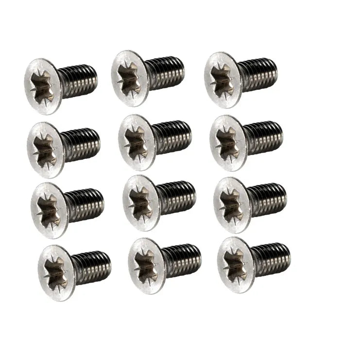 Stainless Steel Door Hinge Screw 12 Piece Set: Beetle (1956-1979), Karmann Ghia (1960-1974), Type 3 (1962-1973)