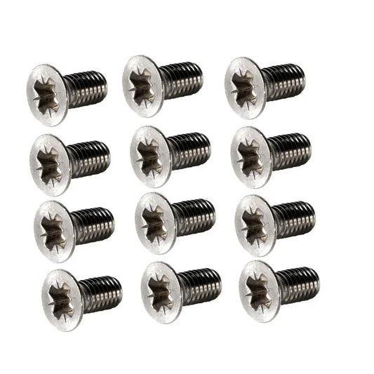 Stainless Steel Door Hinge Screw 12 Piece Set: Beetle (1956-1979), Karmann Ghia (1960-1974), Type 3 (1962-1973)