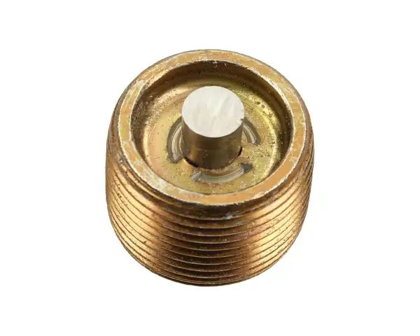 Gearbox Oil Drain Plug VW Beetle All Years