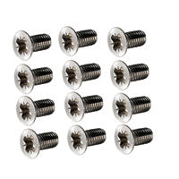 Beetle door screw stainless steel. Set of 12