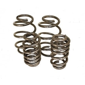 H & R T25 lowering sport springs 45 to 50mm