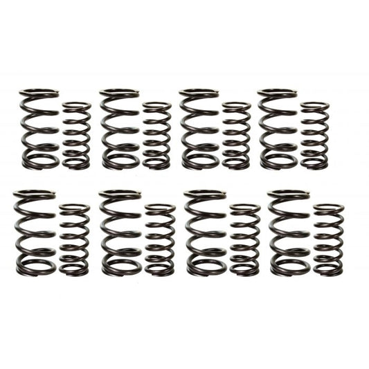 Valve Spring Set Racing Dual