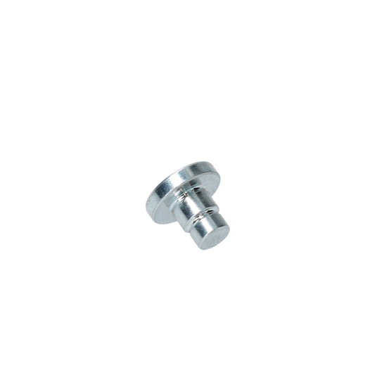 Rivet door lock mechanism