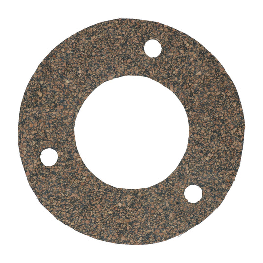 Gasket filler neck