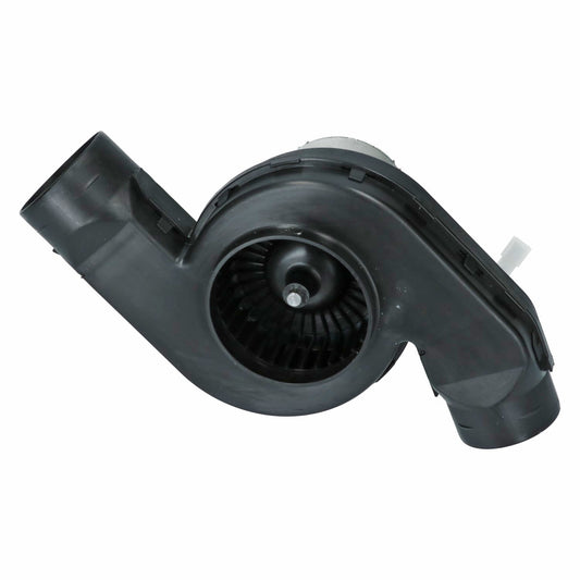 Blower motor