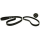 Timing Belt Kit with Tensioner 2.4 Diesel AAB T4 (1991-1994)