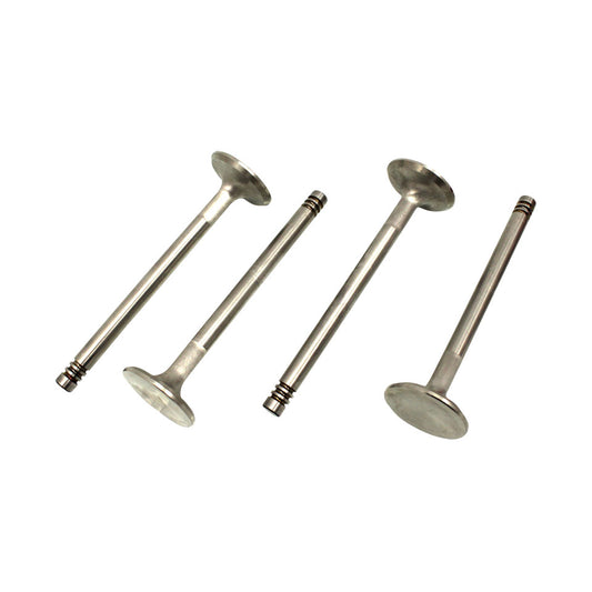 S/S valves 32mm