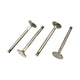 S/S valves 32mm
