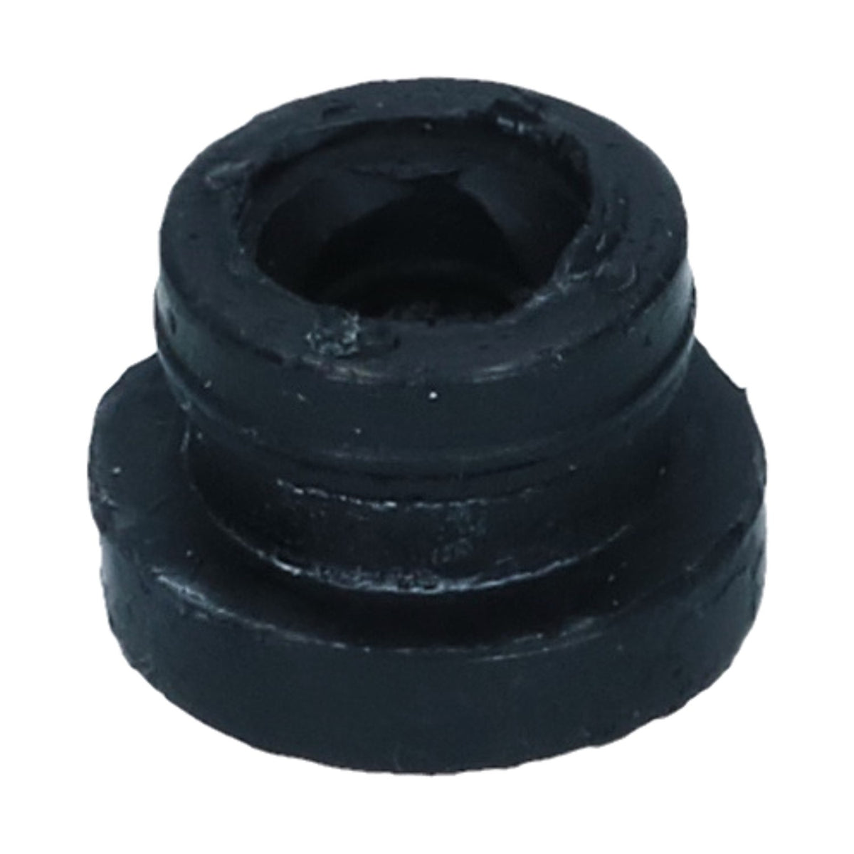 Seal on master cylinder