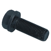 Bolt for Brake caliper lower