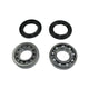 Rear bearing kit