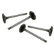 Intake valves 41mm, 8mm guide