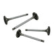 Intake valves 37,5mm, 8mm guide
