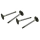 S/S valves 40mm