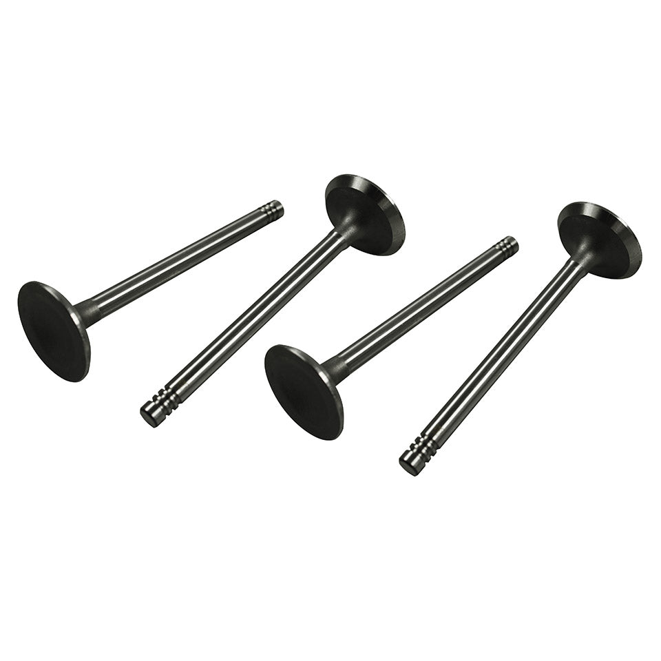 Intake valves 13-1600cc