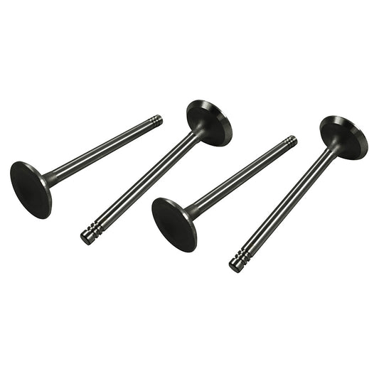 Intake valves 13-1600cc