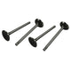 Intake valves 13-1600cc