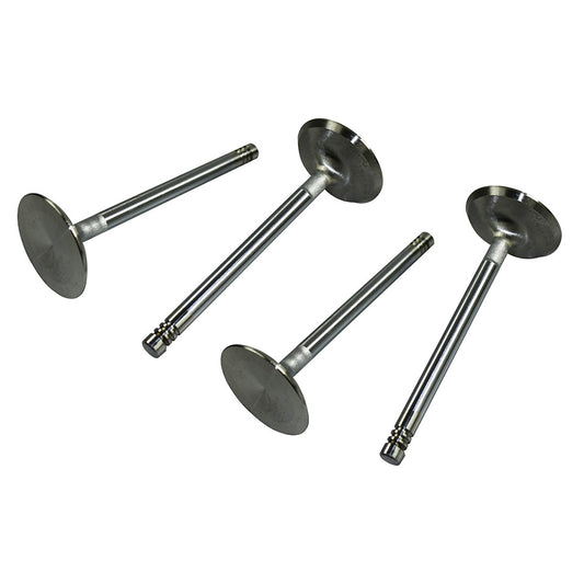 S/S valves 42mm