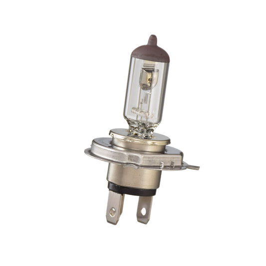 Light bulb, 12V 60/55W