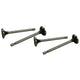 Exhaust valves 25/30HP - Intake valves 25HP